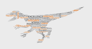 Raptor's Corporate Values