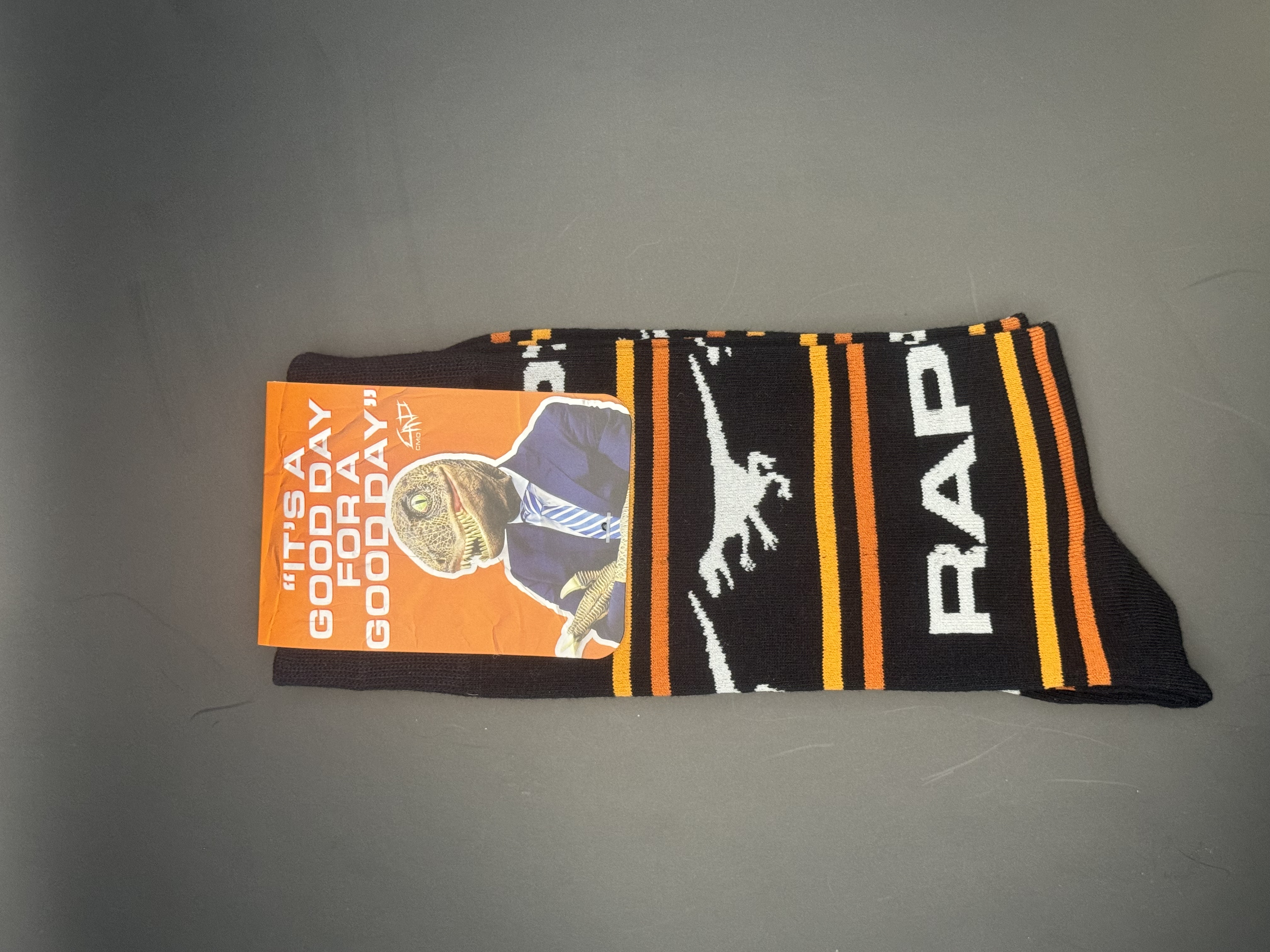 Raptor with lines socks